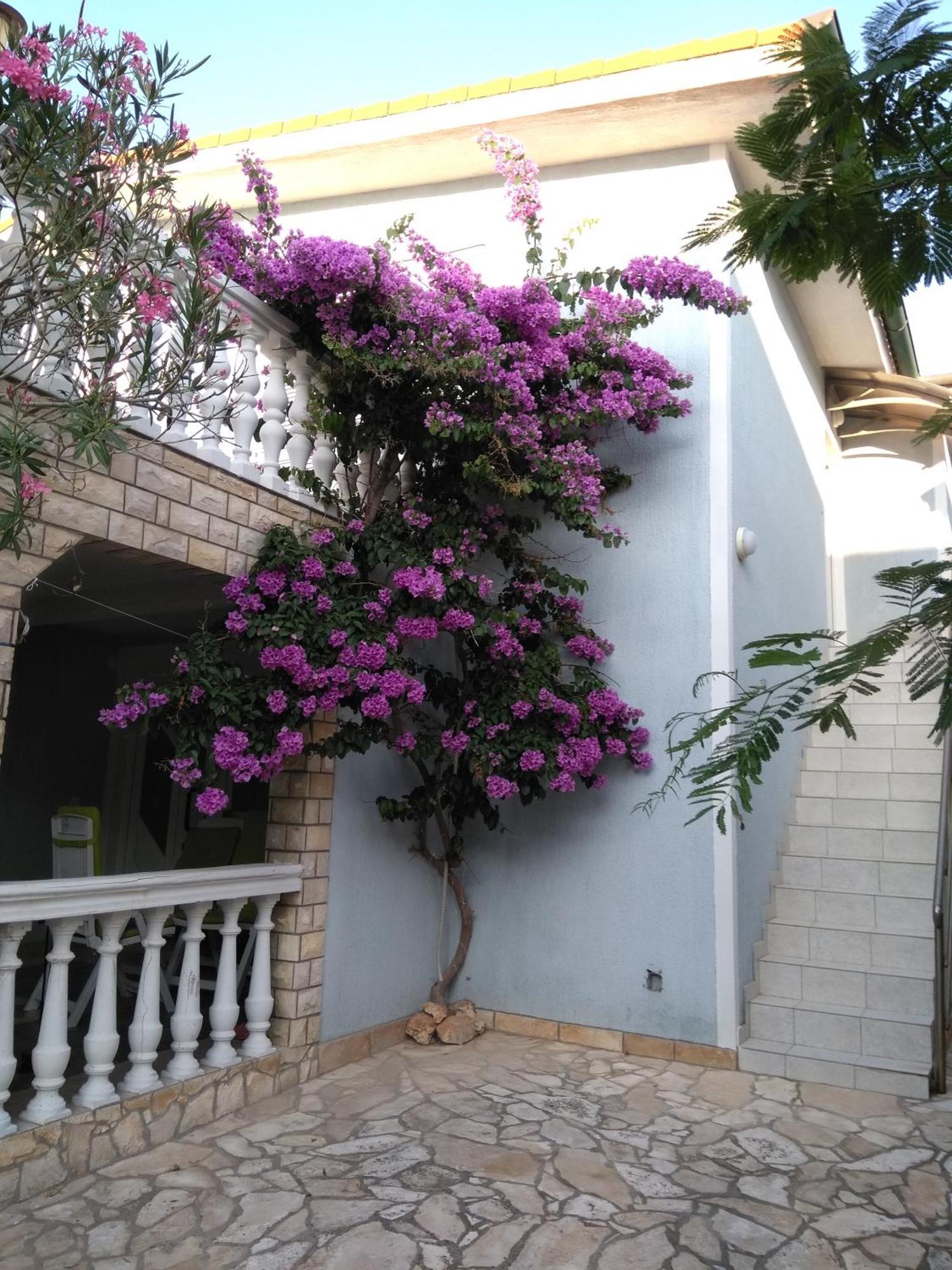 Apartmani Korade Vir Exterior photo